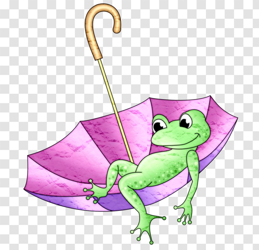 Tree Frog - Amphibian - On Umbrella Transparent PNG