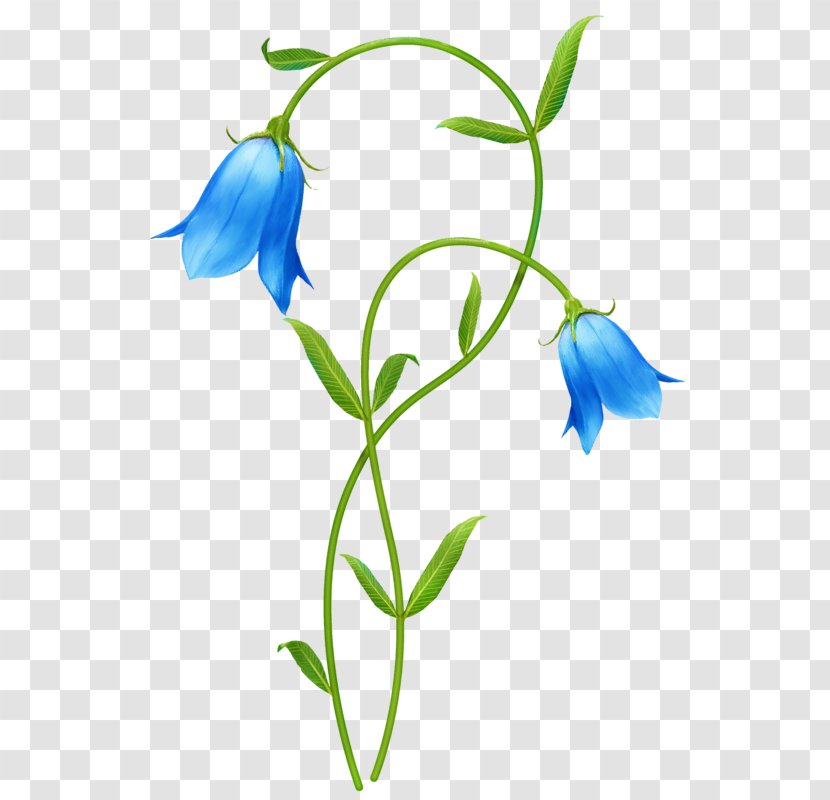 Flower Blue Clip Art - Branch - Hand-painted Lily Of The Valley Transparent PNG