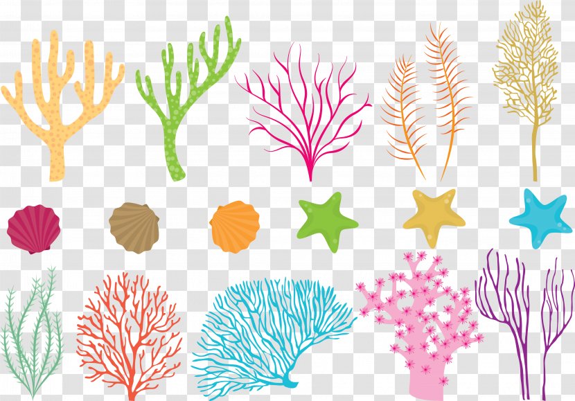 Coral Reef Fish Sea - Branch - Vector Colored Transparent PNG