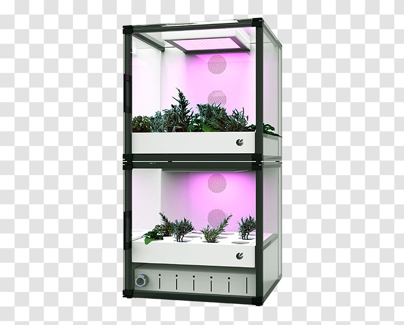Hydroponics Aquaponics Greenhouse Agriculture Vertical Farming
