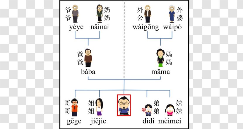 Mandarin Chinese Family Tree Kinship Transparent PNG