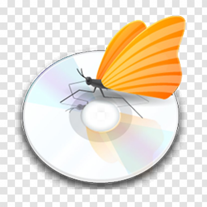 Icon Design Application Software Download - Button - DVD Discs Transparent PNG