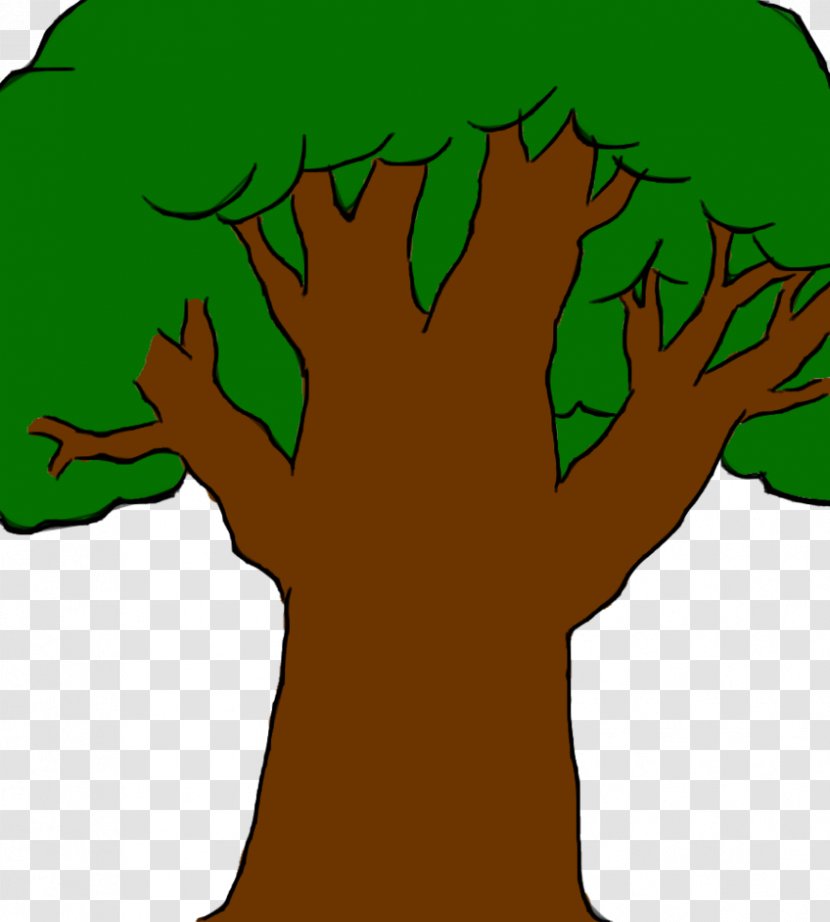Tree Cartoon Drawing Clip Art - Woody Plant - TREE CARTOON Transparent PNG