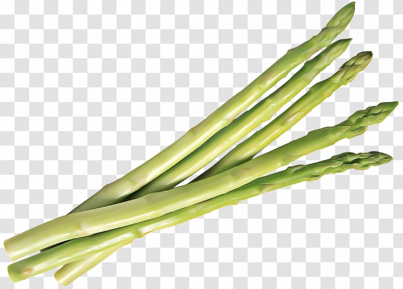 Bamboo Background - Shoot - Plant Scallion Transparent PNG
