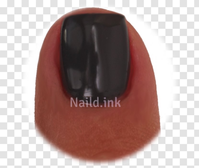 Chocolate - Praline Transparent PNG