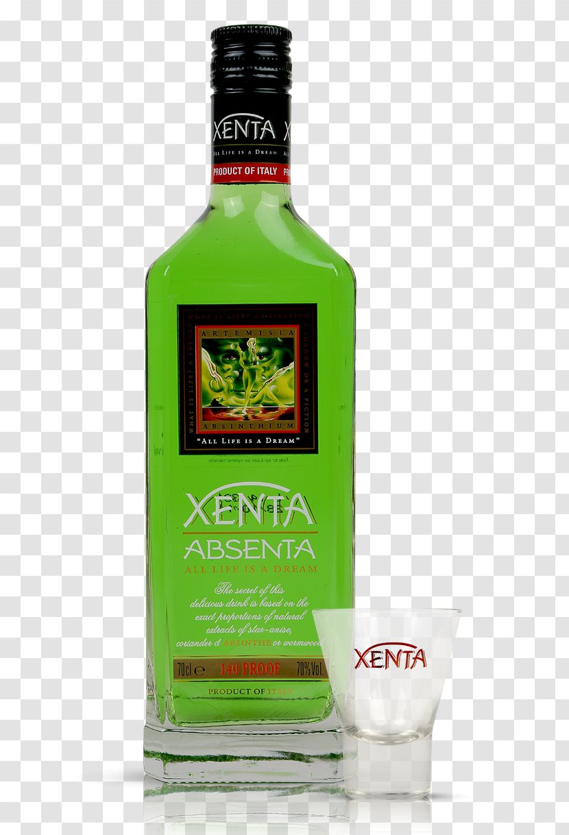 Liqueur Absinthe Amaro Distilled Beverage Absente - Drink Transparent PNG