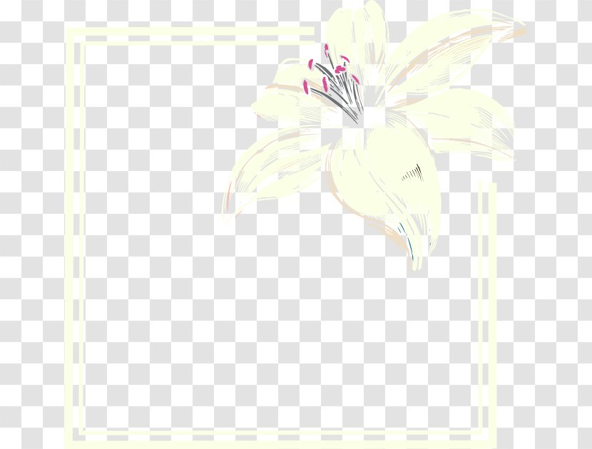 Petal Fairy Clip Art - Flora - Cartoon Painted Lily Line Border Transparent PNG