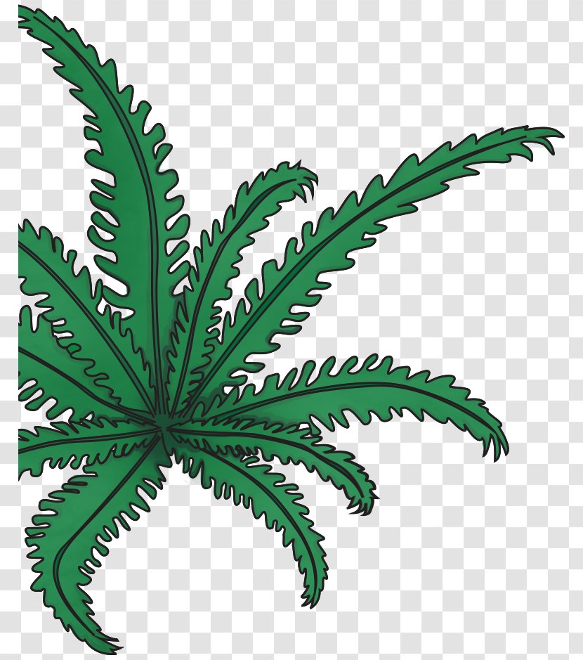 Leaf Plant Stem Hemp Flowerpot Cannabis Transparent PNG