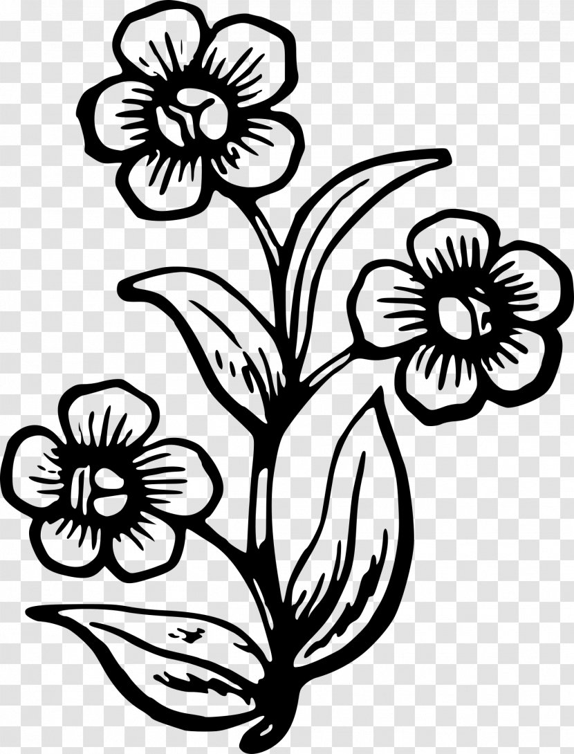 Drawing Flowering Plant Clip Art Plants - Blackandwhite - Of Flowers Transparent PNG
