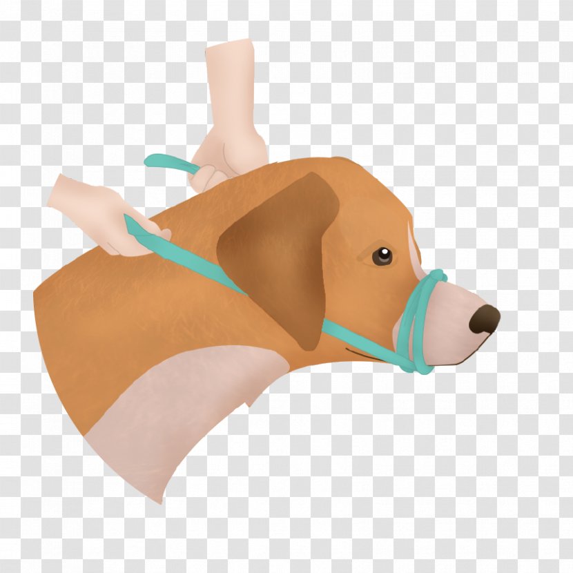 Dog Muzzle Pet First Aid & Emergency Kits Transparent PNG