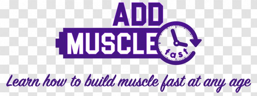 Logo Brand Font - Area - Body Building Transparent PNG