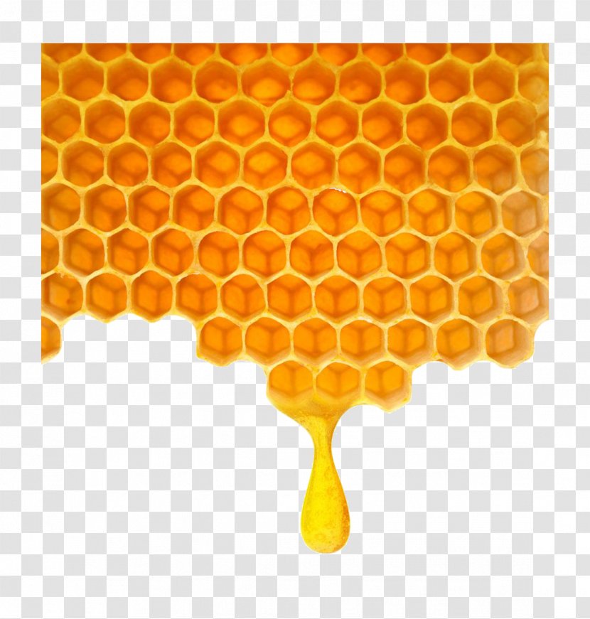 Bee Honeycomb - Stock Photography - Poly Honey Transparent PNG