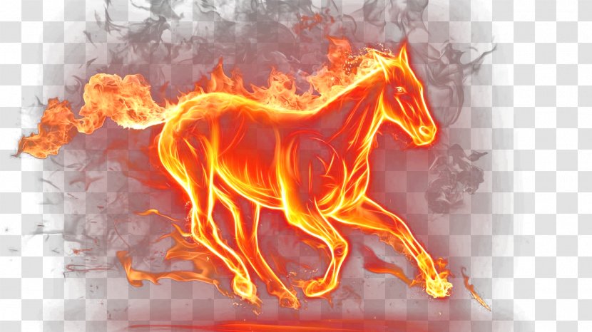 Mustang Fire Horse Display Resolution Wallpaper - Tree Transparent PNG
