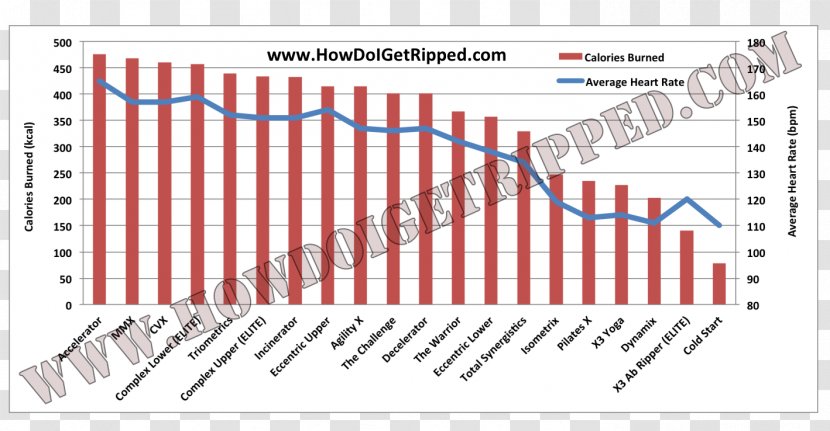 Heart Rate Exercise P90X Vital Signs - Flower - Burned Transparent PNG