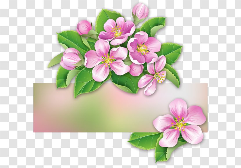 The Plum Blossoms Blog Idea Clip Art - Fairy Border Transparent PNG