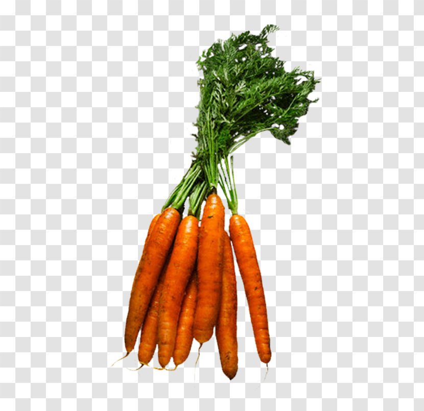 Baby Carrot Leaf Vegetable Vegetarian Cuisine Food - Eating Transparent PNG