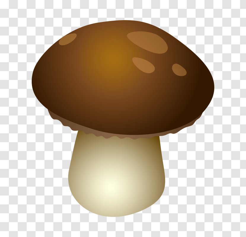 Fungus Mushroom Euclidean Vector - Designer - Mushroom,fungus Transparent PNG