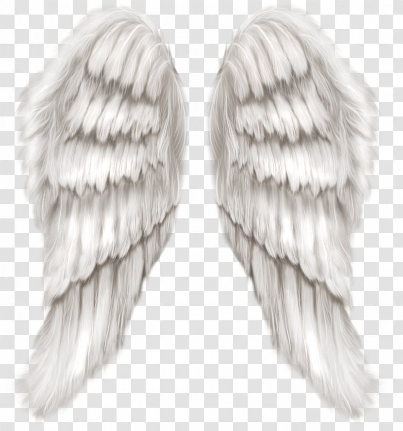 Cherub Wing Angel - Black And White - Wings Transparent Clip Art Image Transparent PNG
