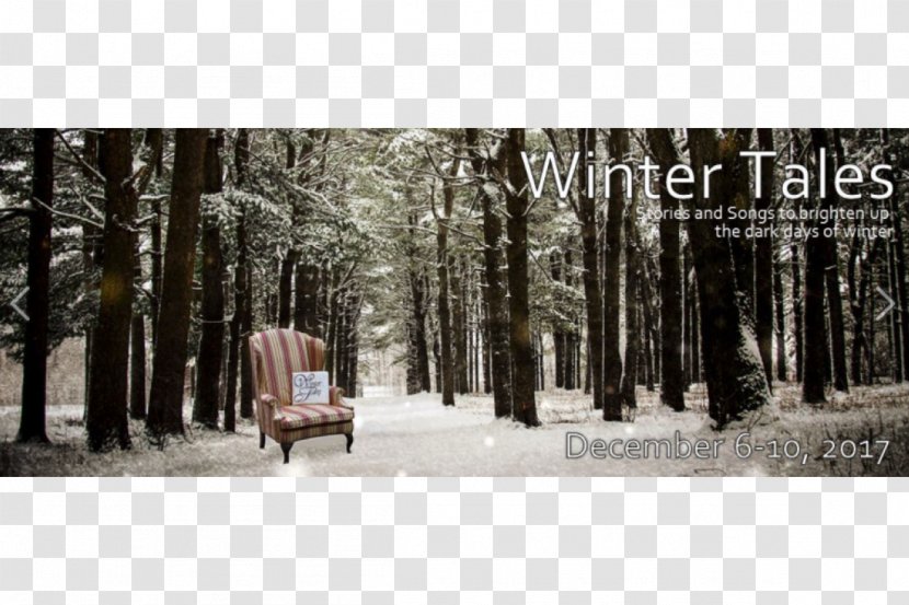 Forest Stock Photography Tree Winter Transparent PNG