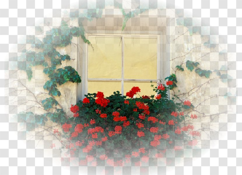 Window Desktop Wallpaper Flower - Sky Transparent PNG
