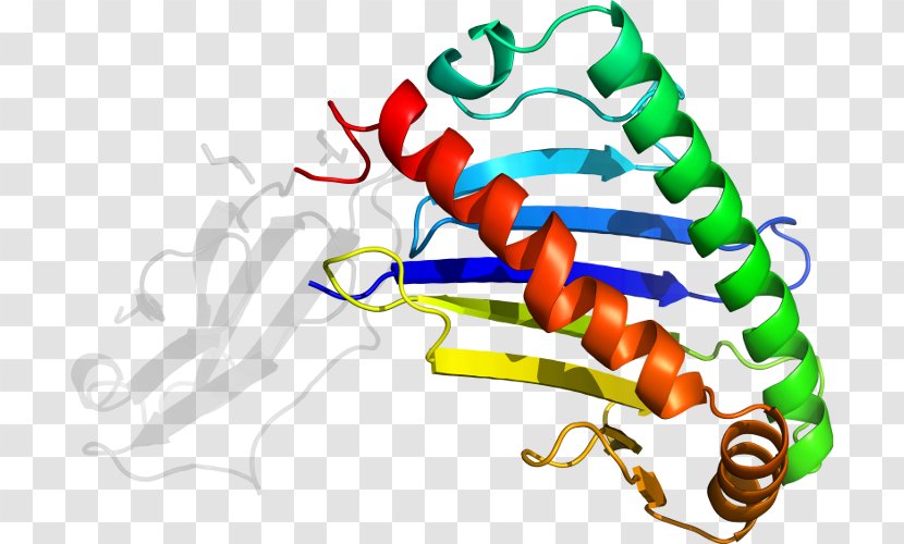 Line Art Disc Jockey Clip - Tcell Receptor - Human Leukocyte Antigen Transparent PNG