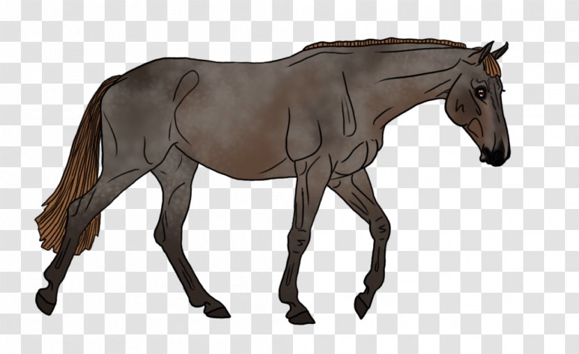 Foal Pony Rein Mare Mustang - Halter Transparent PNG