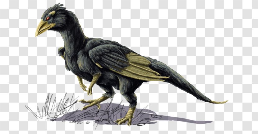 Bird Common Raven Beak Feather Vulture - Colorful Transparent PNG