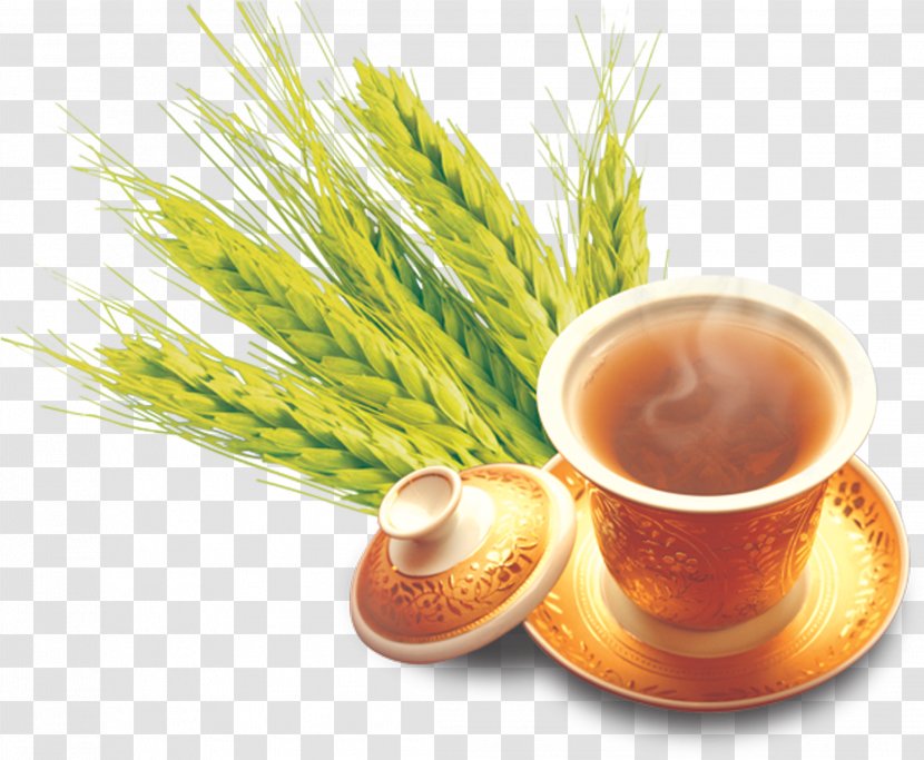 Barley Tea Mate Cocido Wheat - Manufacturing - Free HD Clips Buckle Warm Transparent PNG