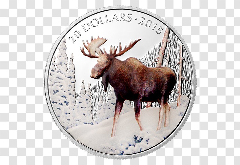 Moose Reindeer Antler Dollar Coin Transparent PNG