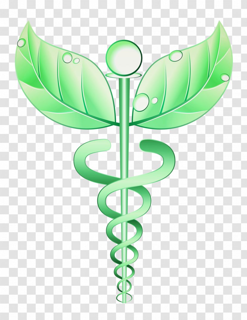 Alternative Health Services Medicine Naturopathy Care Staff Of Hermes - Flower Transparent PNG