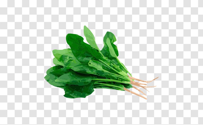 Spinach Chard Herb Dock Food - Spice - Hierba Ecommerce Transparent PNG
