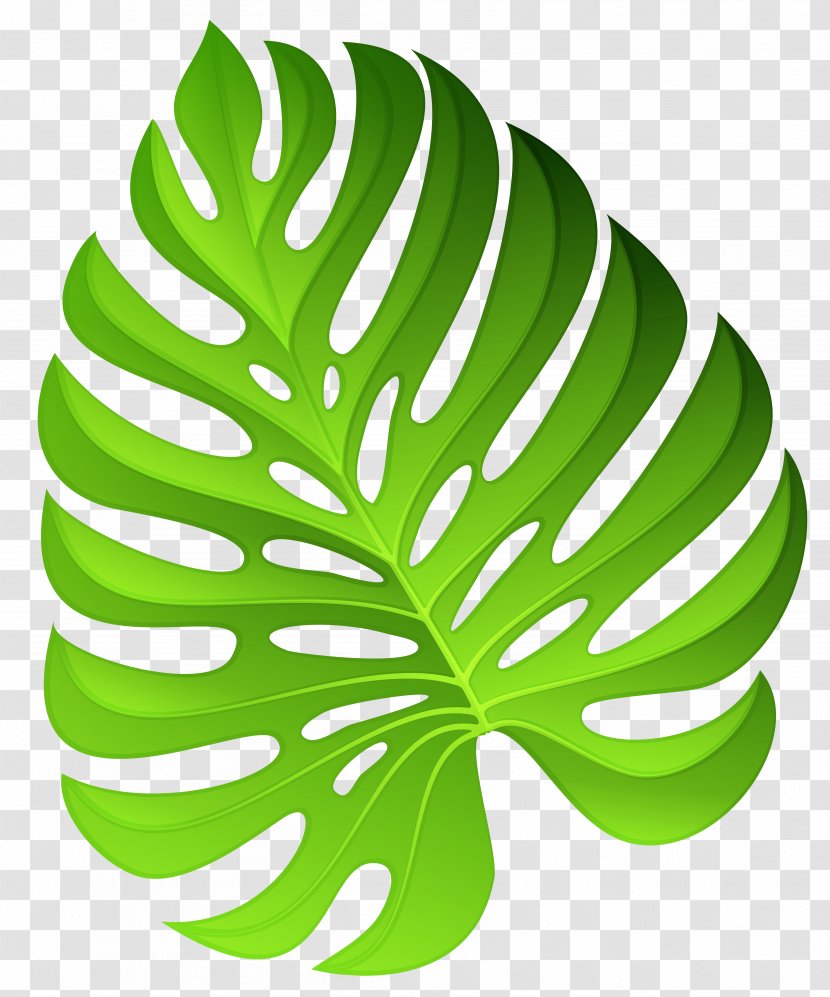 Plant Flower Clip Art - Exotic Green Decoration Clipart Image Transparent PNG