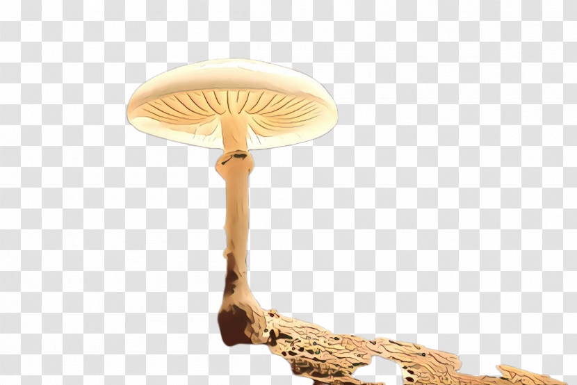 Mushroom Lamp Light Fixture Ceiling Agaricaceae Transparent PNG