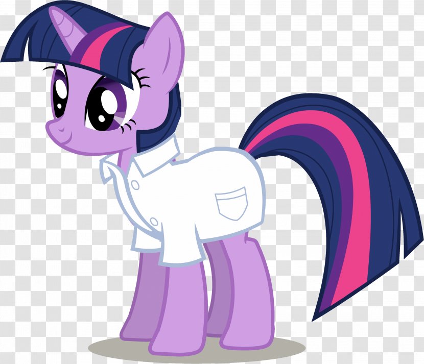 Twilight Sparkle Pinkie Pie Pony Rarity Spike - Frame - Gothic Vector Transparent PNG