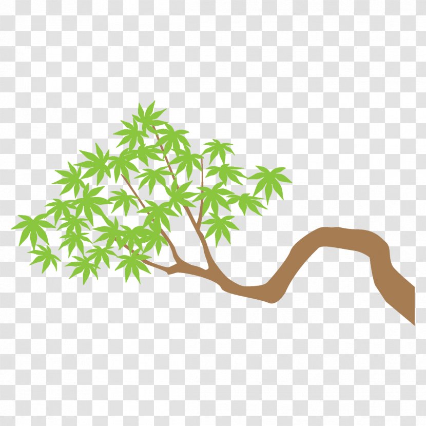 Maple Branch Leaves Tree - Flower Plant Stem Transparent PNG