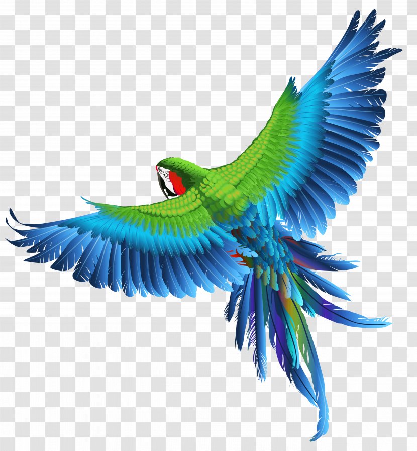 Parrot Bird Macaw Clip Art - Transparent Clipart Picture Transparent PNG