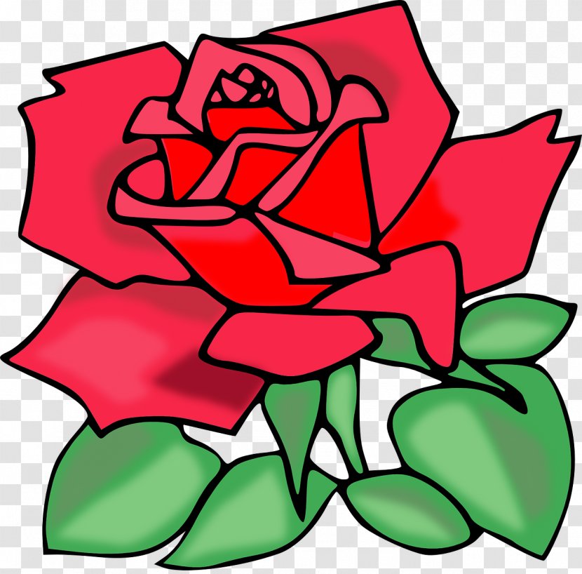 Rose Clip Art - Garden Roses - Vector Transparent PNG