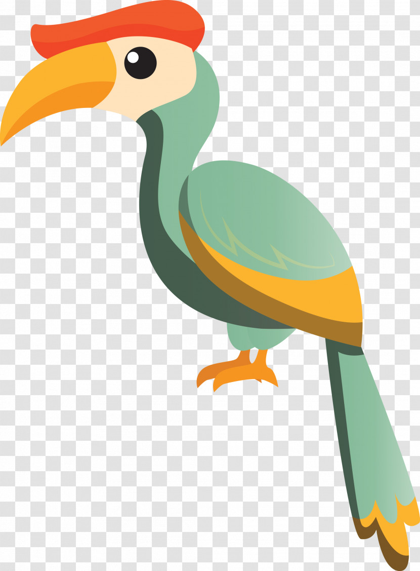 Duck Birds Toucans Beak Hornbill Transparent PNG