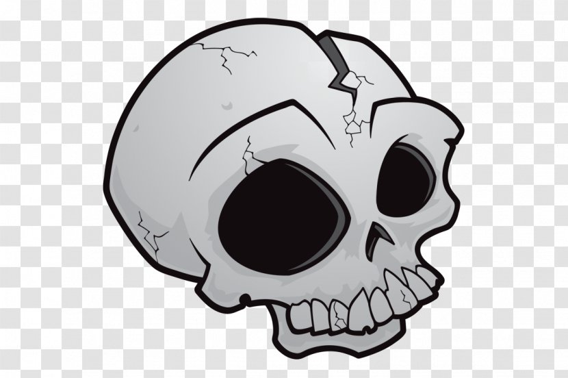 Drawing Skull Image Vector Graphics - Jaw Transparent PNG