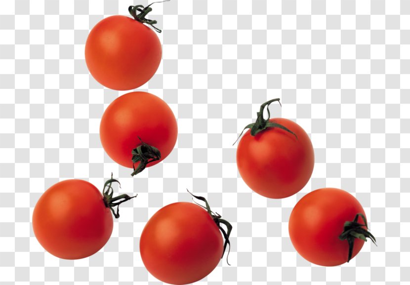 Cherry Tomato Vegetable Food Roma - Nightshade Family Transparent PNG