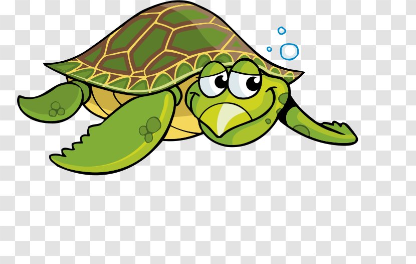 Sea Turtle Tortoise Cartoon Clip Art - Chinese Softshell - Green Transparent PNG