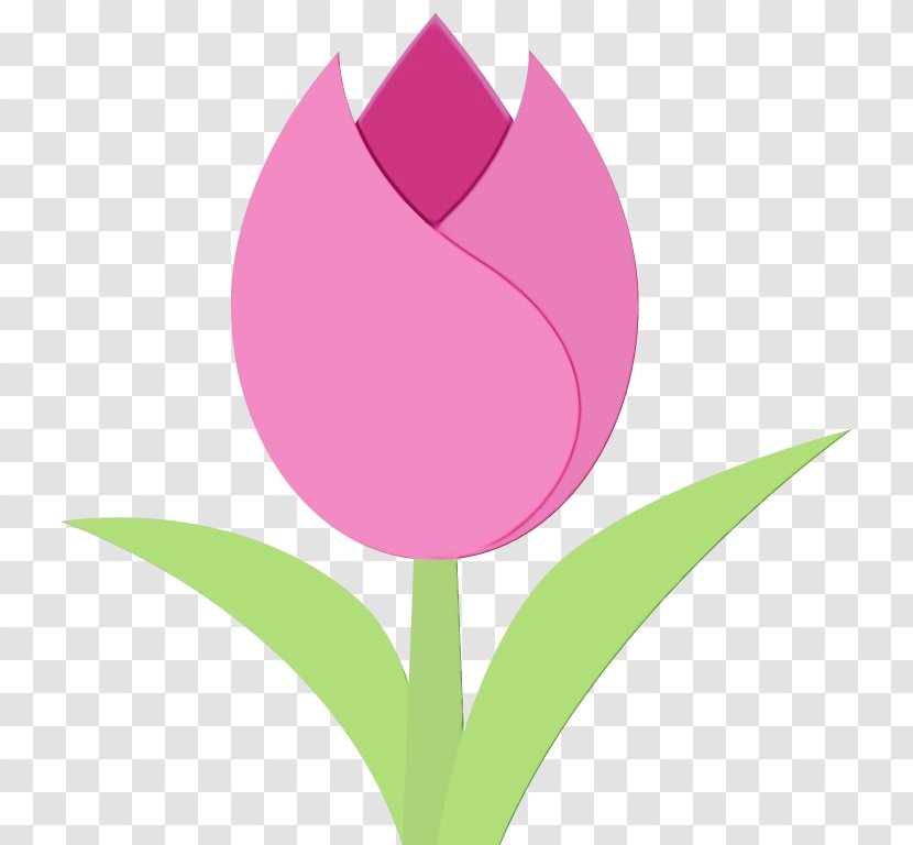 Pink Flower Cartoon - Rose - Bud Lily Family Transparent PNG