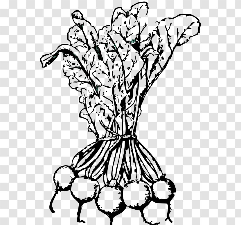 Beetroot Sugar Beet Turnip Clip Art - Plant - Vegetable Transparent PNG