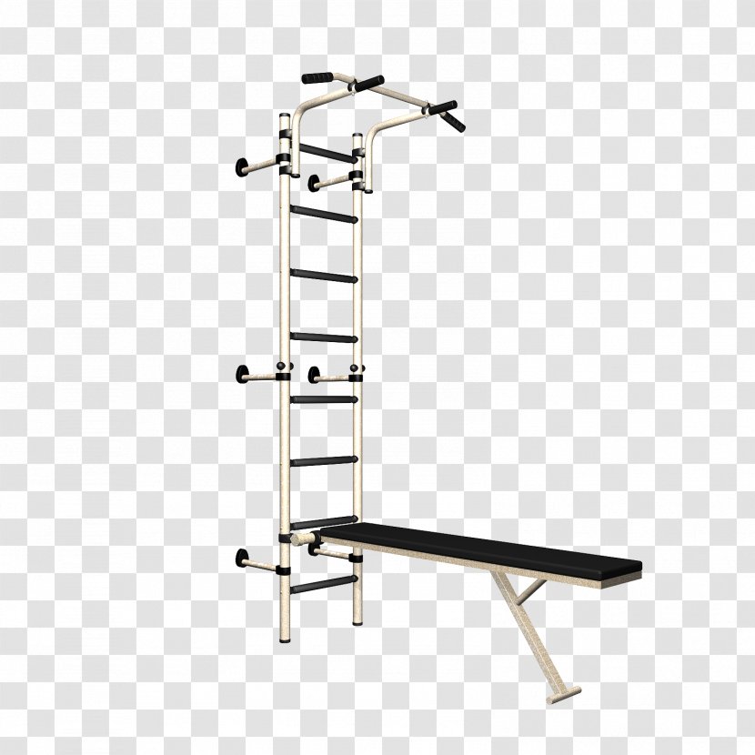 Gymnastics Fitness Centre Sport Wall Bars Child - Ladder Transparent PNG