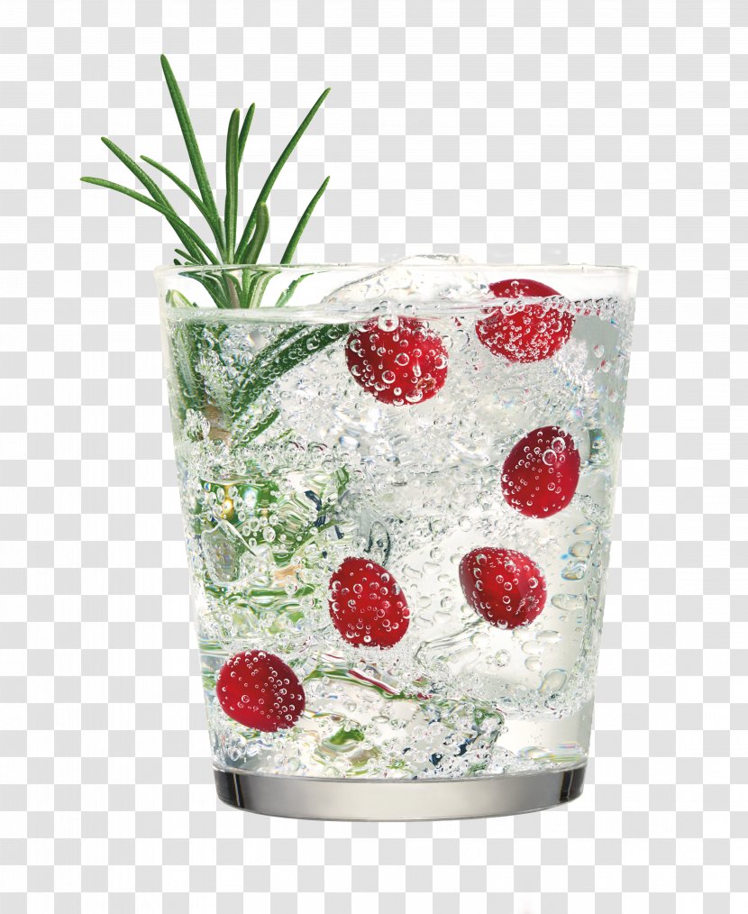 Cocktail Garnish Fizzy Drinks Ketel One Distilled Beverage - Carbonated Water - Lime Wedge Transparent PNG