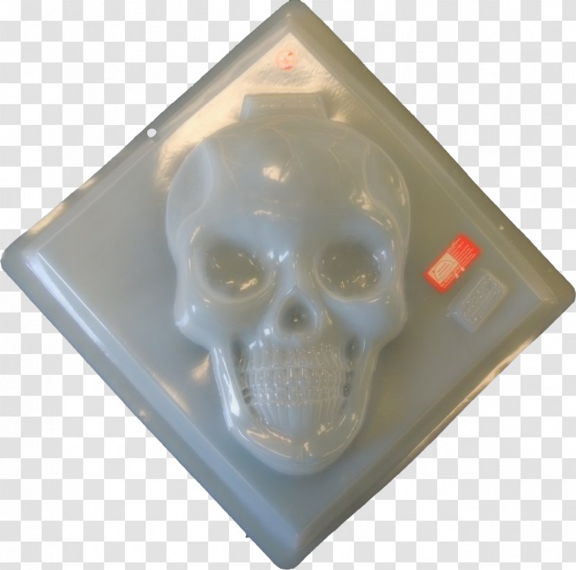 Skull - Bone Transparent PNG