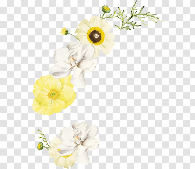 Flower Floral Design Petal - Floristry - Diverse Transparent PNG