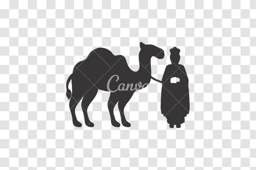 Camel Drawing Royalty-free - Livestock - Wise Man Transparent PNG