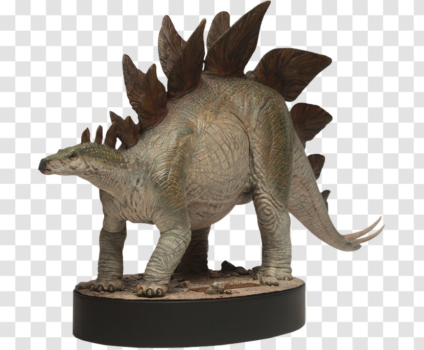 Stegosaurus Tyrannosaurus Triceratops Ceratosaurus Dinosaur - Reptile Transparent PNG