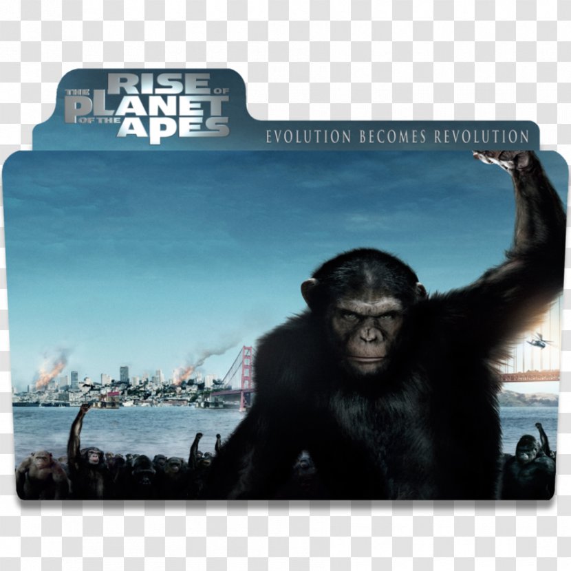 Planet Of The Apes Koba Film Reboot - Dawn Transparent PNG